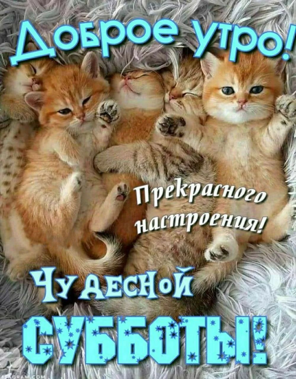 Доброе утро! Прекрасного настроения! Чудесной субботы!