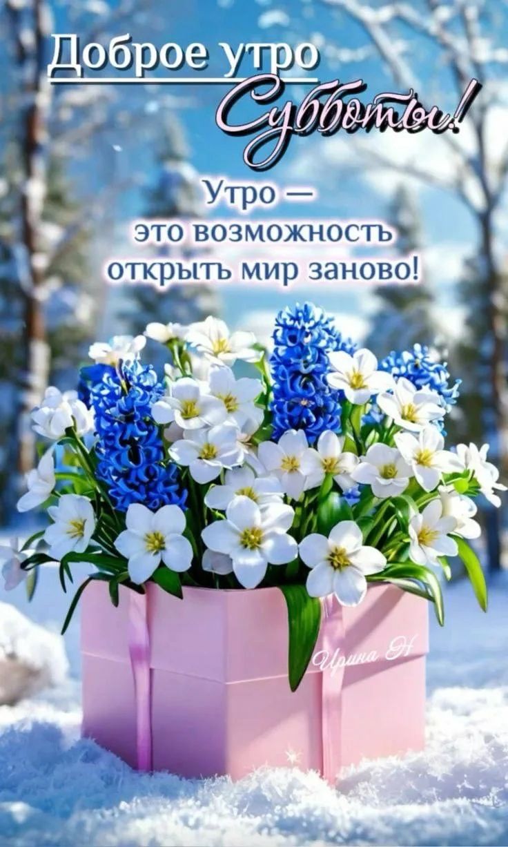 Доброе утро Субботы! Утро — это возможность открыть мир заново!