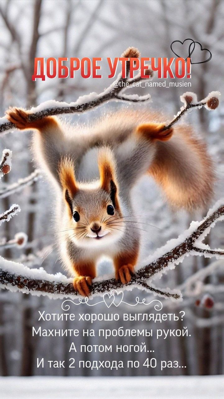 ДОБРОЕ УТРЕЧКО! Хотите хорошо выглядеть? Махните на проблемы рукой. А потом ногой... И так 2 подхода по 40 раз...