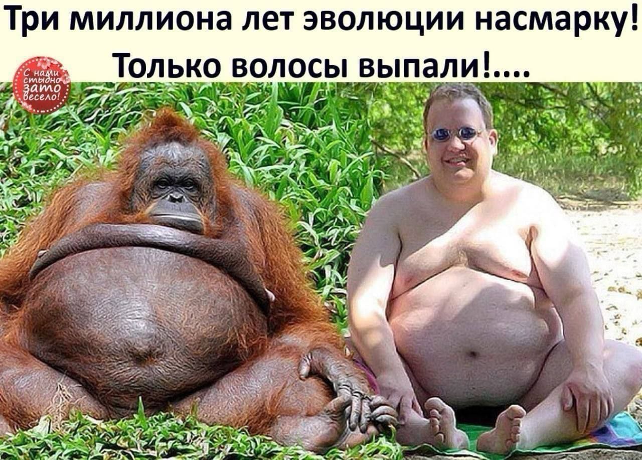 Три миллиона лет эволюции насмарку! Только волосы выпали!.....