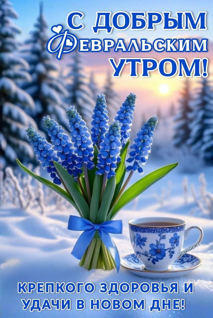 С ДОБРЫМ ФЕВРАЛЬСКИМ УТРОМ! КРЕПКОГО ЗДОРОВЬЬЯ И УДАЧИ В НОВОМ ДНЕ!