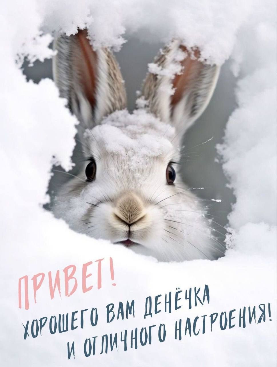 ПРИВЕТ! ХОРОШЕГО ВАМ ДЕНЁЧКА И ОТЛИЧНОГО НАСТРОЕНИЯ!