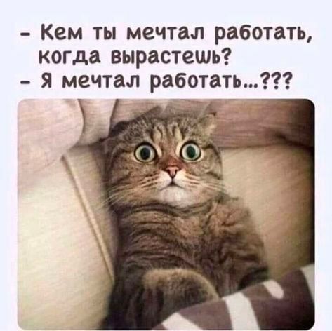 Кем ты мечтал работать, когда вырастешь? - Я мечтал работать...???