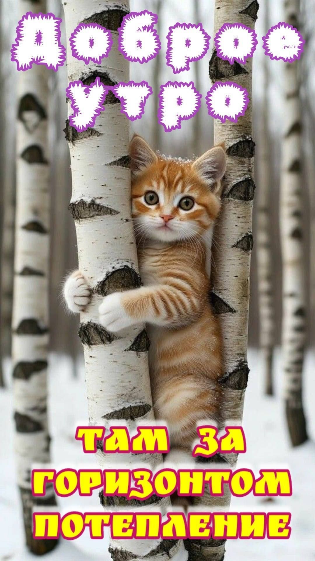 Доброе утро\nтам за горизонтом потепление