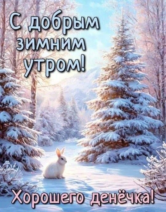 С добрым зимним утром! Хорошего денёчка!