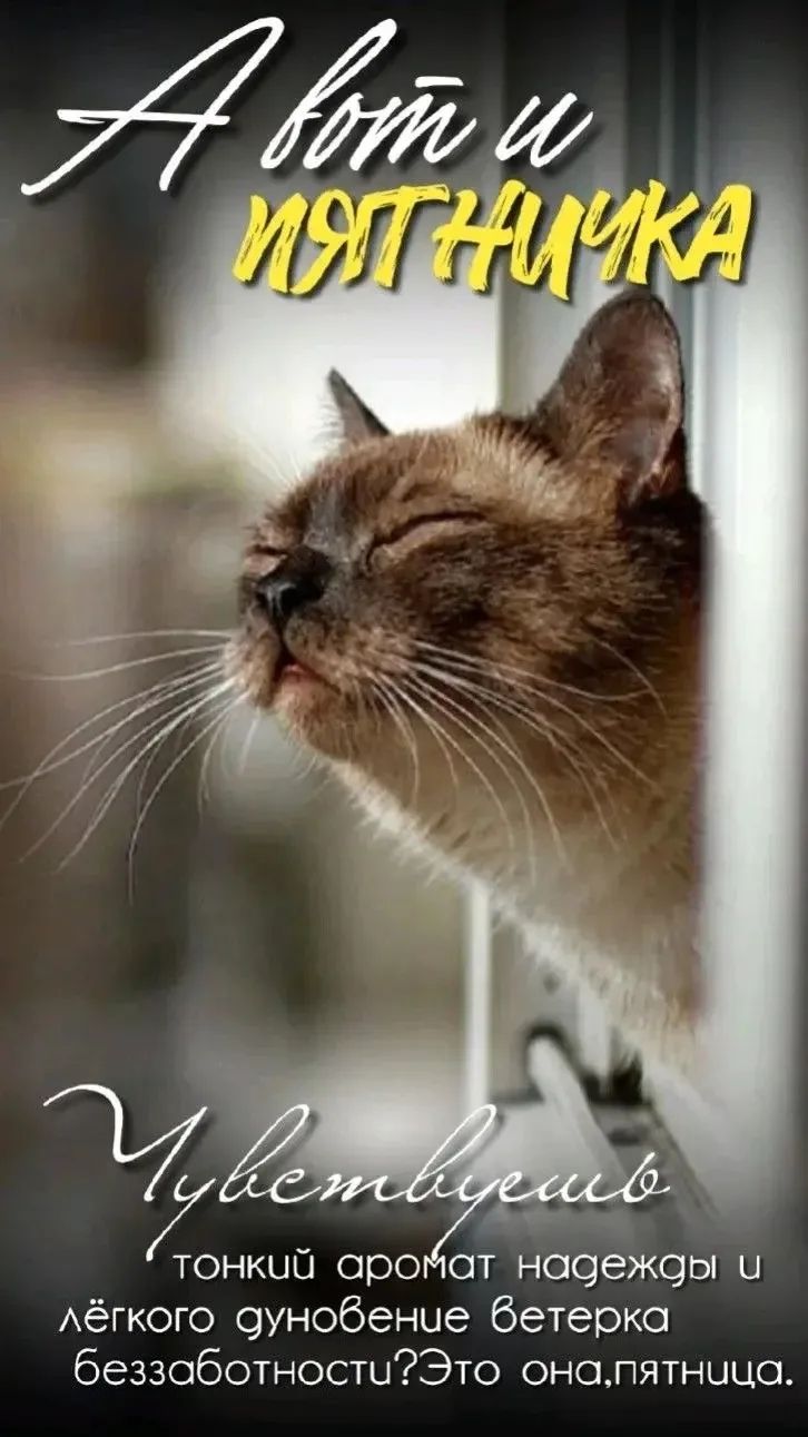 А вот и ПЯТНИЧКА. Чувствуется тонкий аромат надежды и лёгкого дуновение ветерка беззаботности? Это она, пятница.