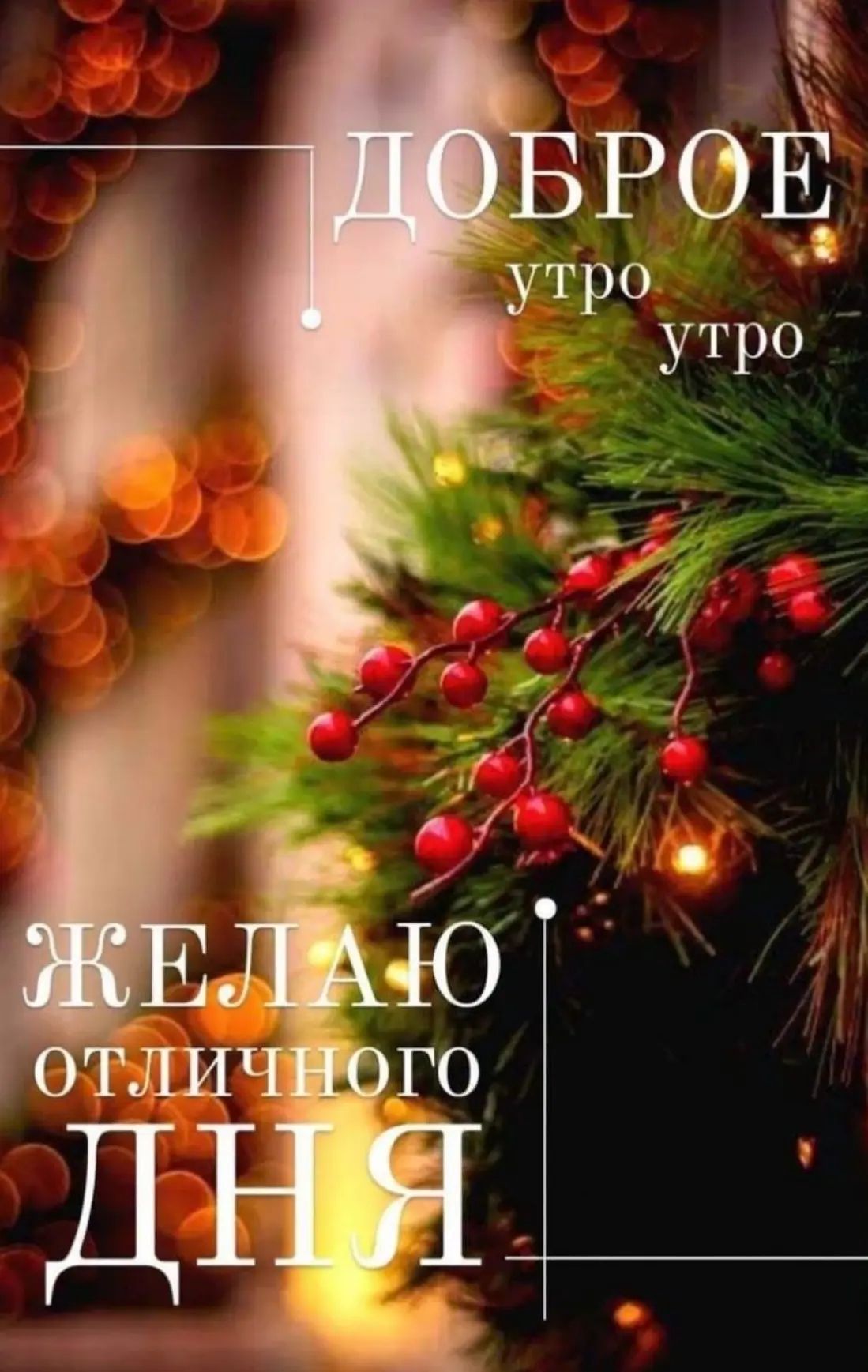 Доброе утро. Желаю отличного дня.