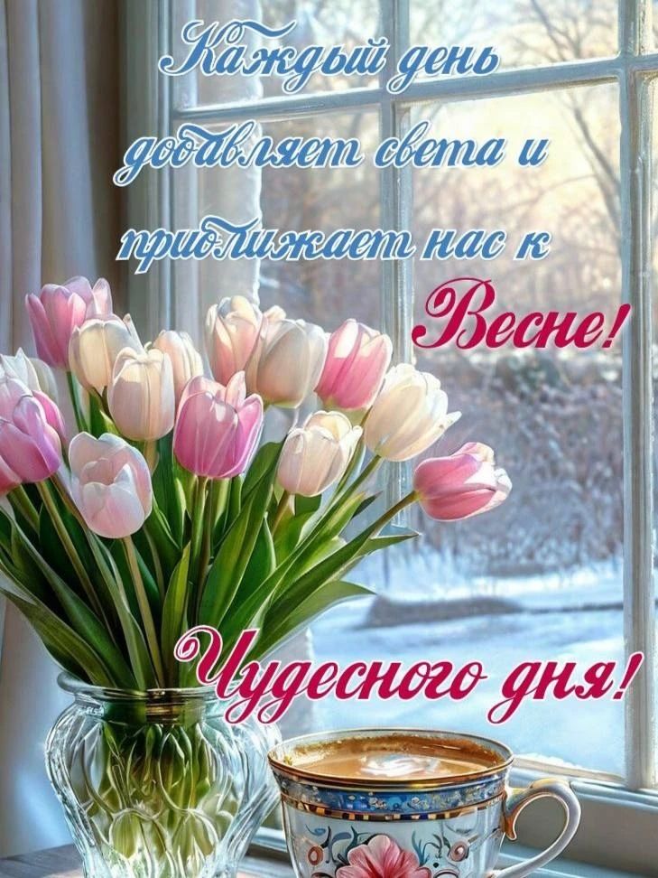 Каждый день добавляет света и приближает нас к Весне! Чудесного дня!