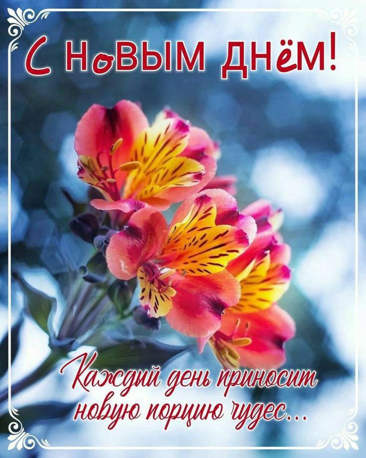 С Новым днём! Каждый день приносит новую порцию чудес...