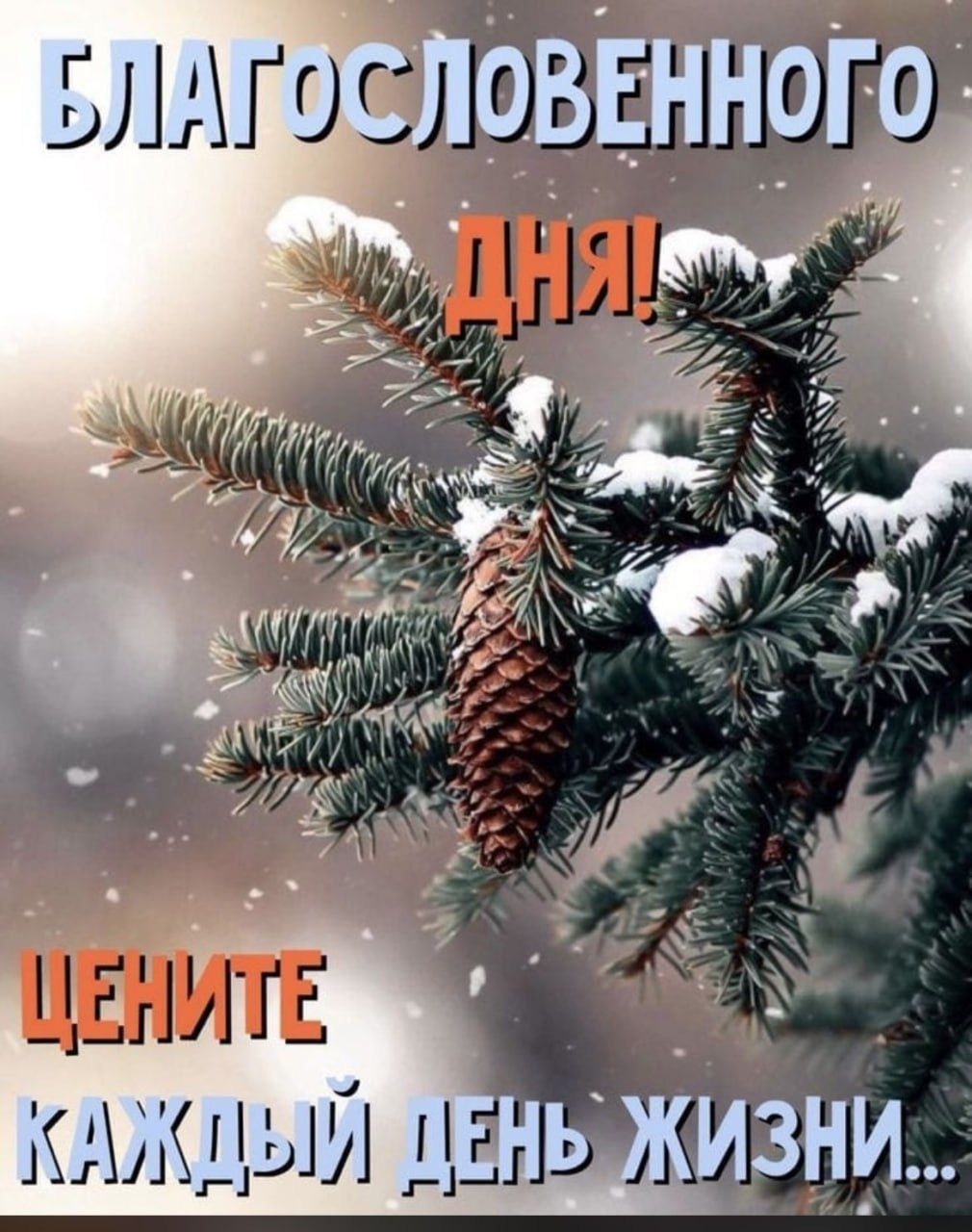 БЛАГОСЛОВЕННOГО ДНЯ! ЦЕНИТЕ КАЖДЫЙ ДЕНЬ ЖИЗНИ...