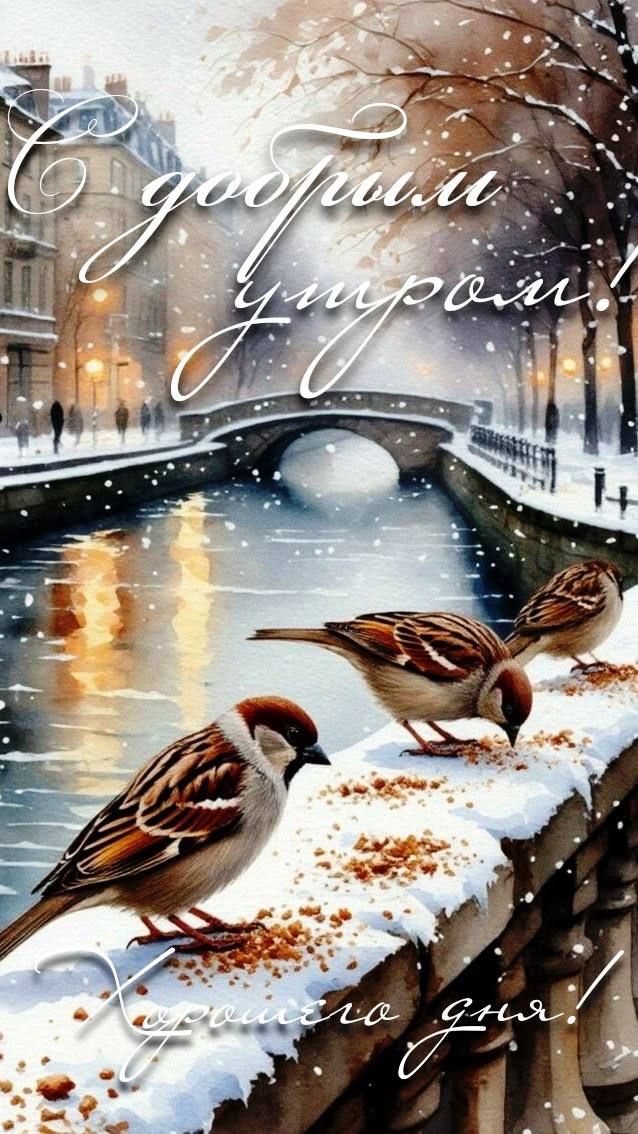 С добрым утром! Хорошего дня!