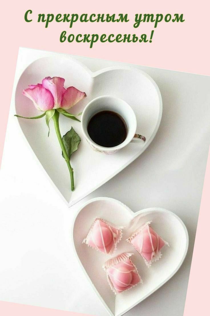 С прекрасным утром воскресенья!