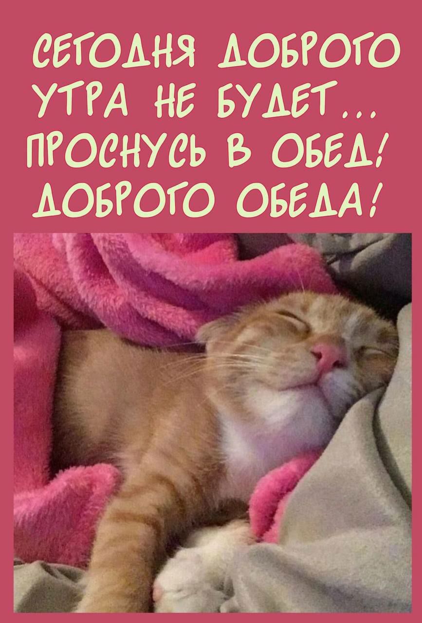 СЕГОДНЯ ДОБРОГО УТРА НЕ БУДЕТ... ПРОСНУСЬ В ОБЕД! ДОБРОГО ОБЕДА!