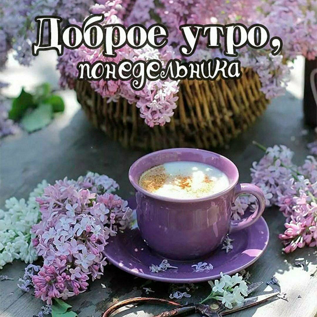 Доброе утро, понедельник