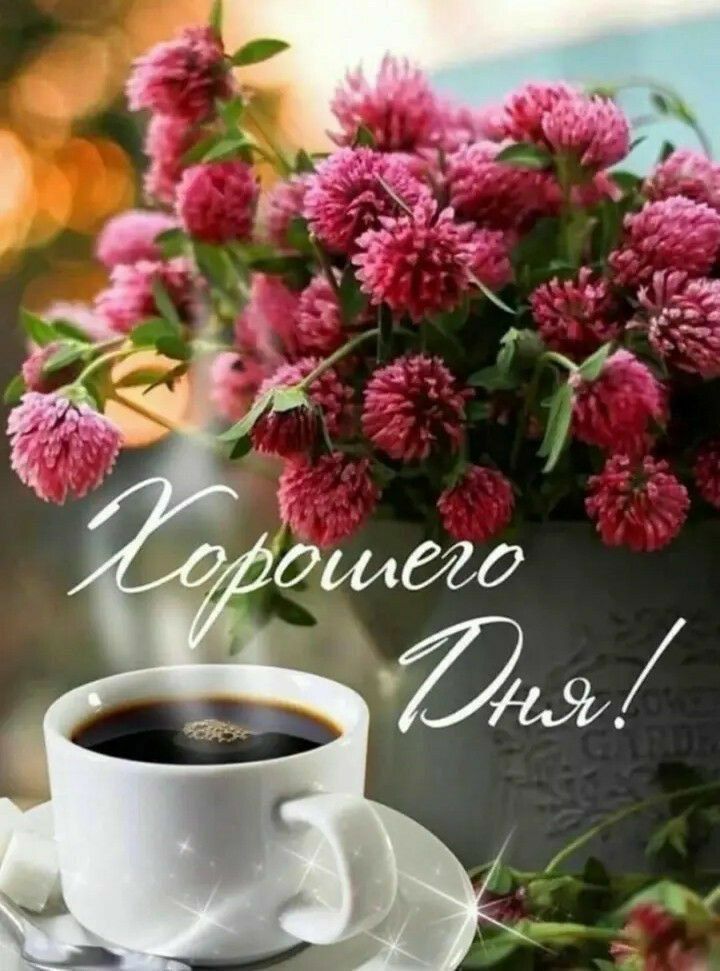 Хорошего дня!