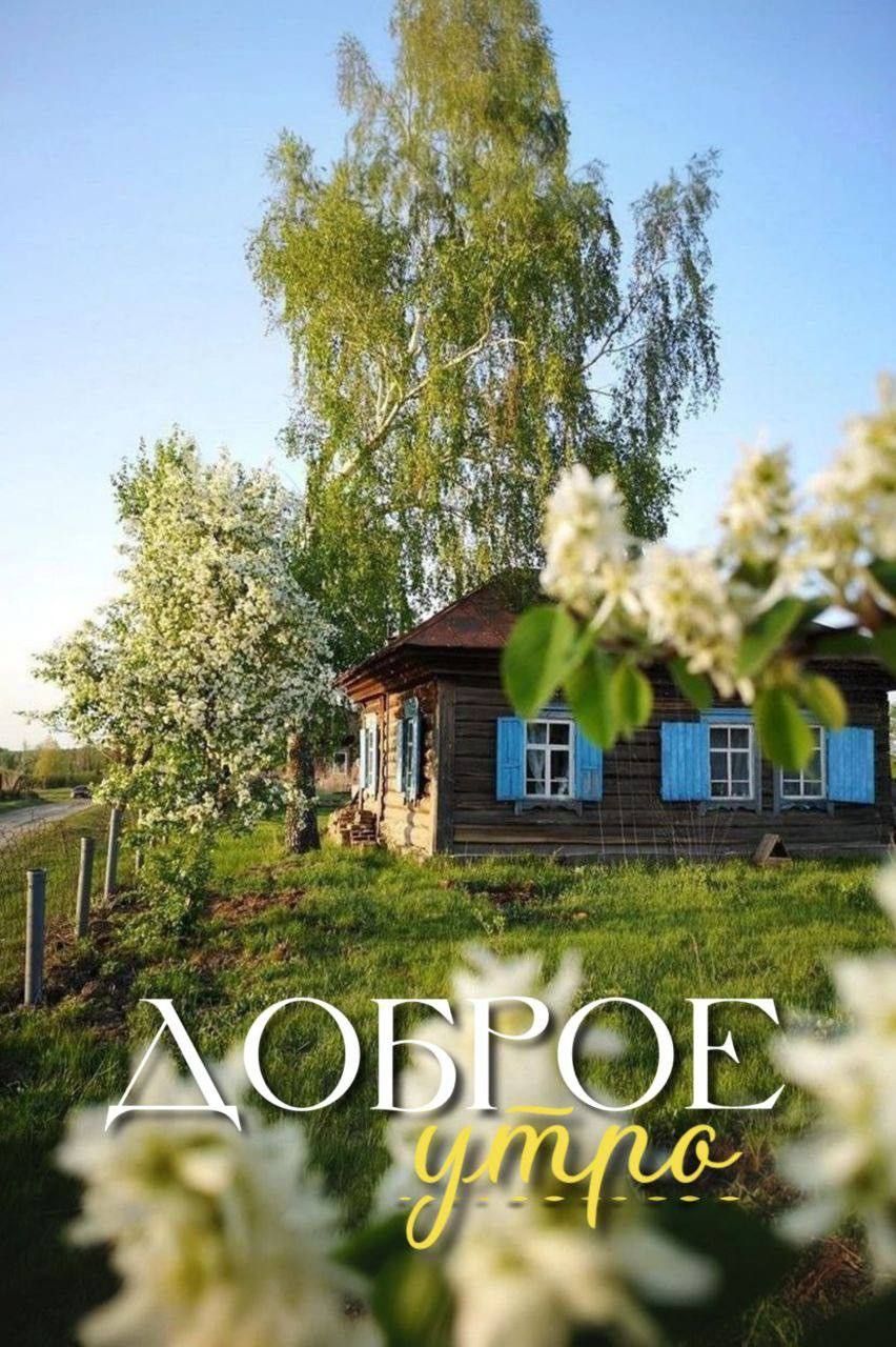Доброе утро