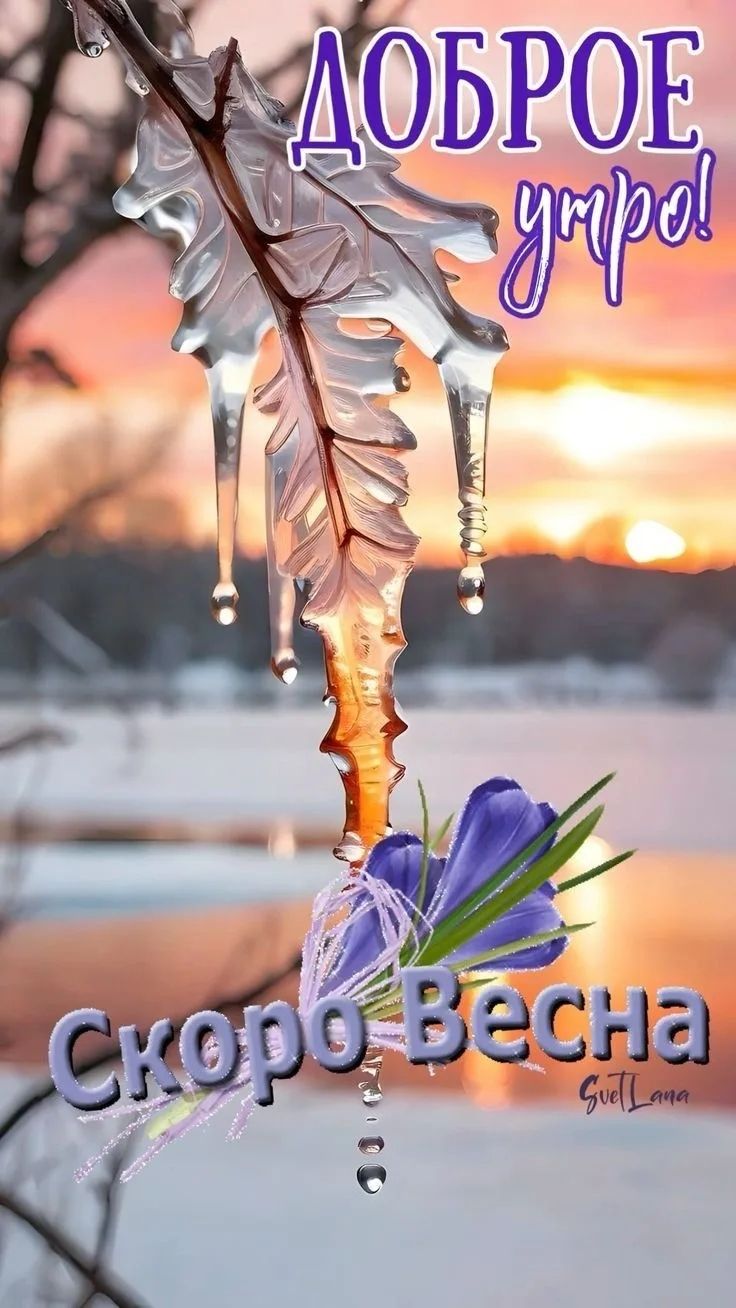 Доброе утро! Скоро Весна