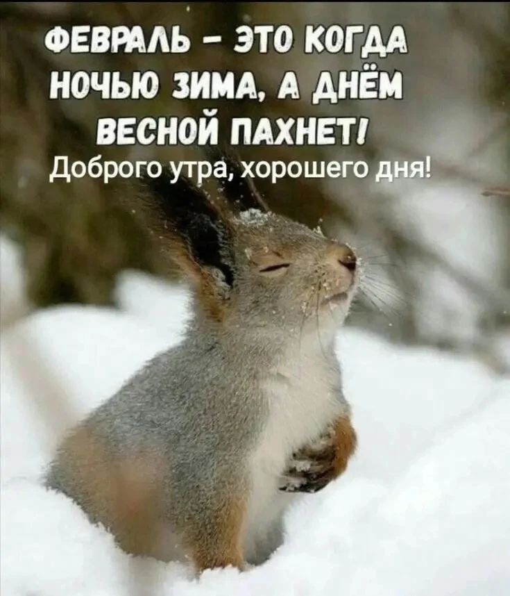 ФЕВРАЛЬ - ЭТО КОГДА НОЧЬЮ ЗИМА, А ДНЁМ ВЕСНОЙ ПАХНЕТ! Доброе утро, хорошего дня!