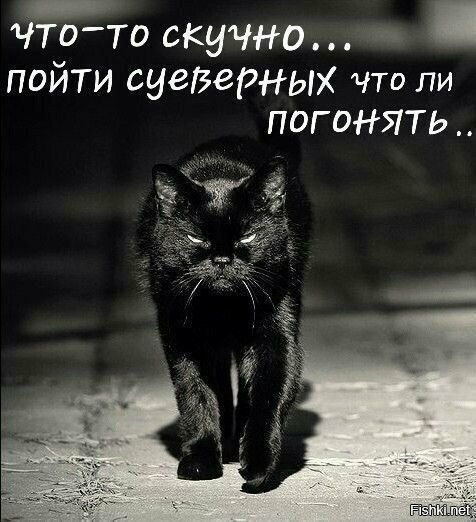 ЧТО-ТО СКУЧНО... ПОЙТИ СУЕЗЕРНЫХ ЧТО ЛИ ПОГОНЯТЬ..