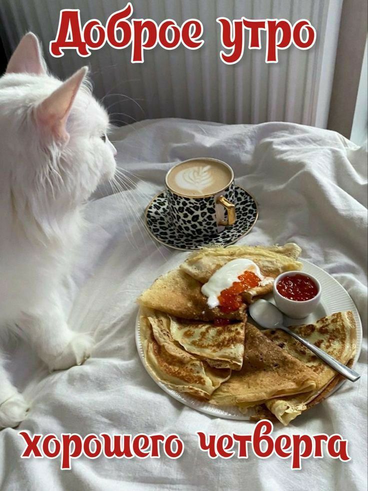 Доброе утро
хорошего четверга