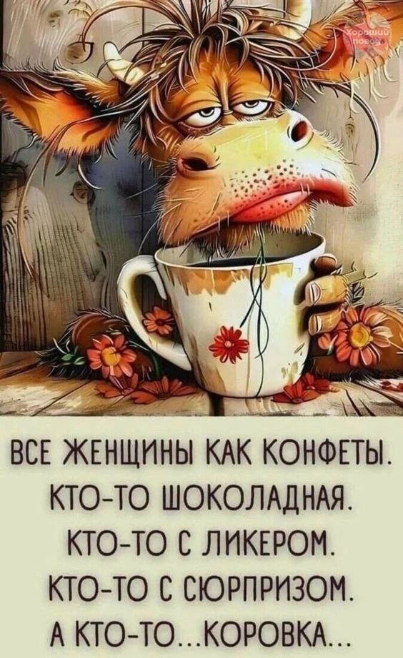 Все женщины как конфеты. Кто-то шоколадная. Кто-то с ликером. Кто-то с сюрпризом. А кто-то... коровка...