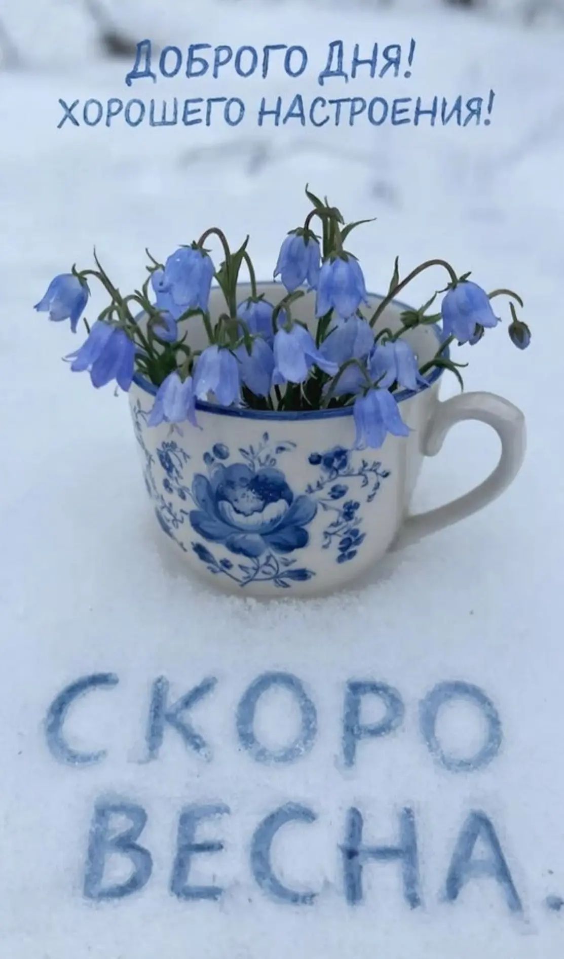 Доброго дня! Хорошего настроения! Скоро весна.