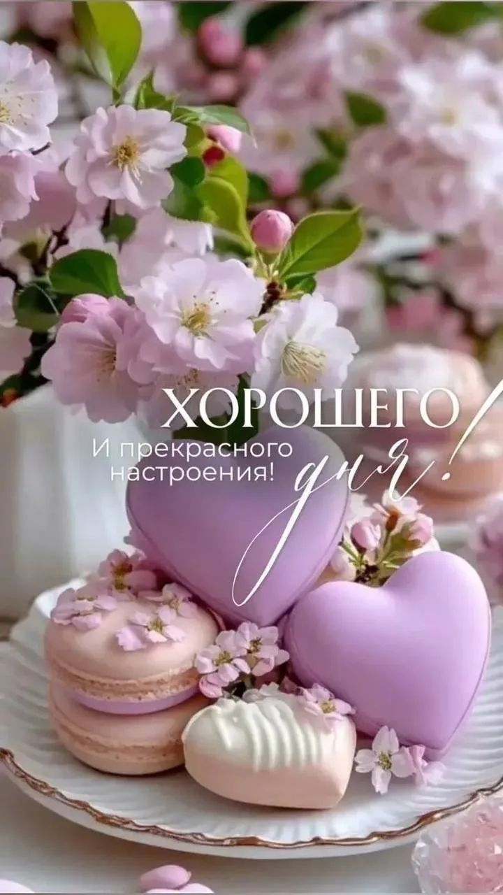 ХОРОШЕГО дня и прекрасного настроения!
