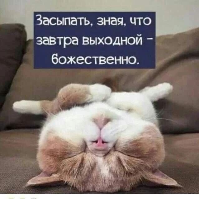 Засыпать, зная, что завтра выходной – божественно.