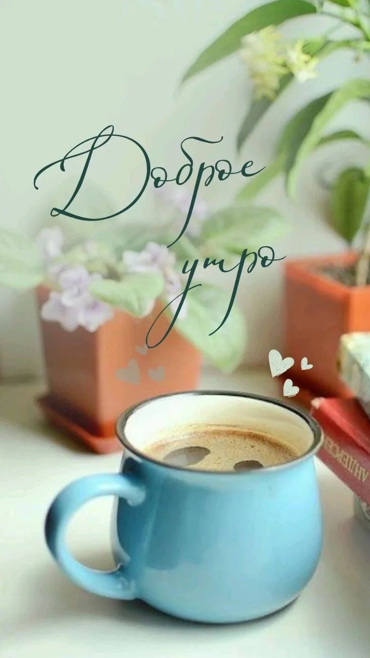 Доброе утро