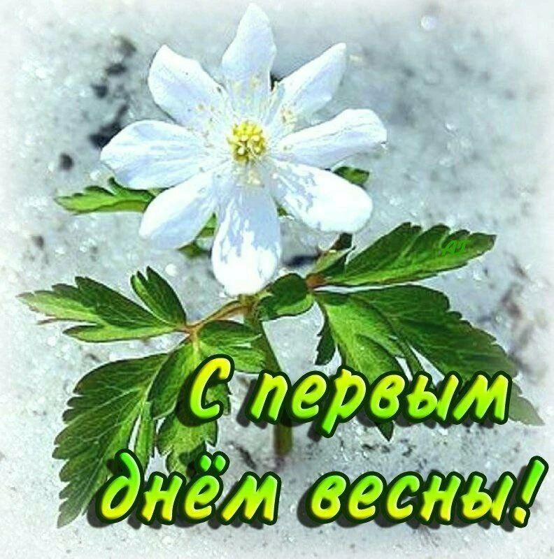 С первым днём весны!