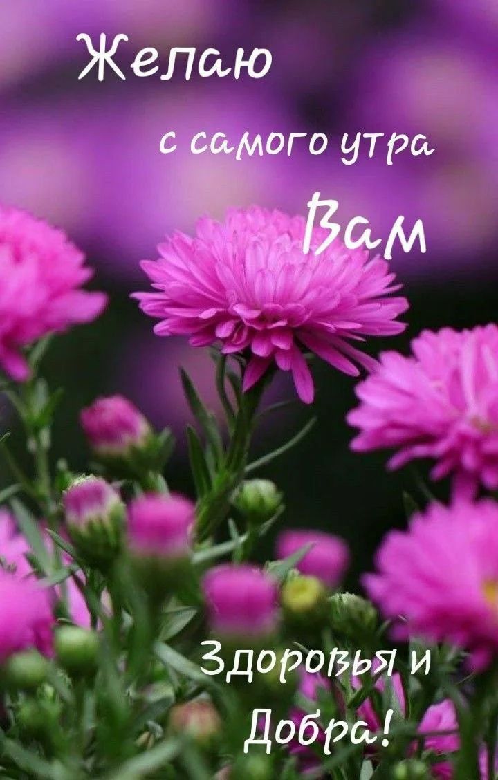 Желаю с самого утра Вам Здоровья и Добра!