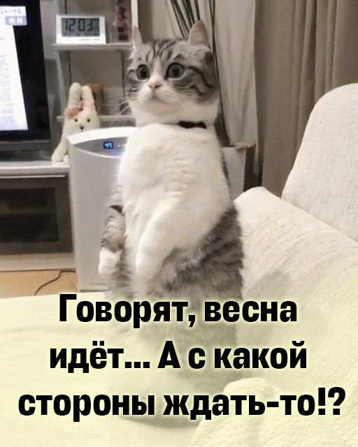 Говорят, весна идёт... А с какой стороны ждать-то!?