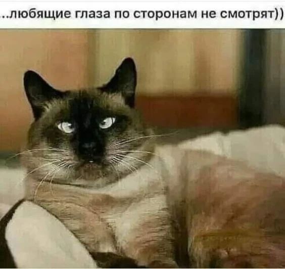 ...любящие глаза по сторонам не смотрят))