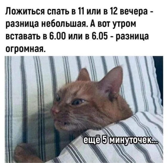 Ложиться спать в 11 или в 12 вечера - разница небольшая. А вот утром вставать в 6.00 или в 6.05 - разница огромная.
ещё 5 минуточек...