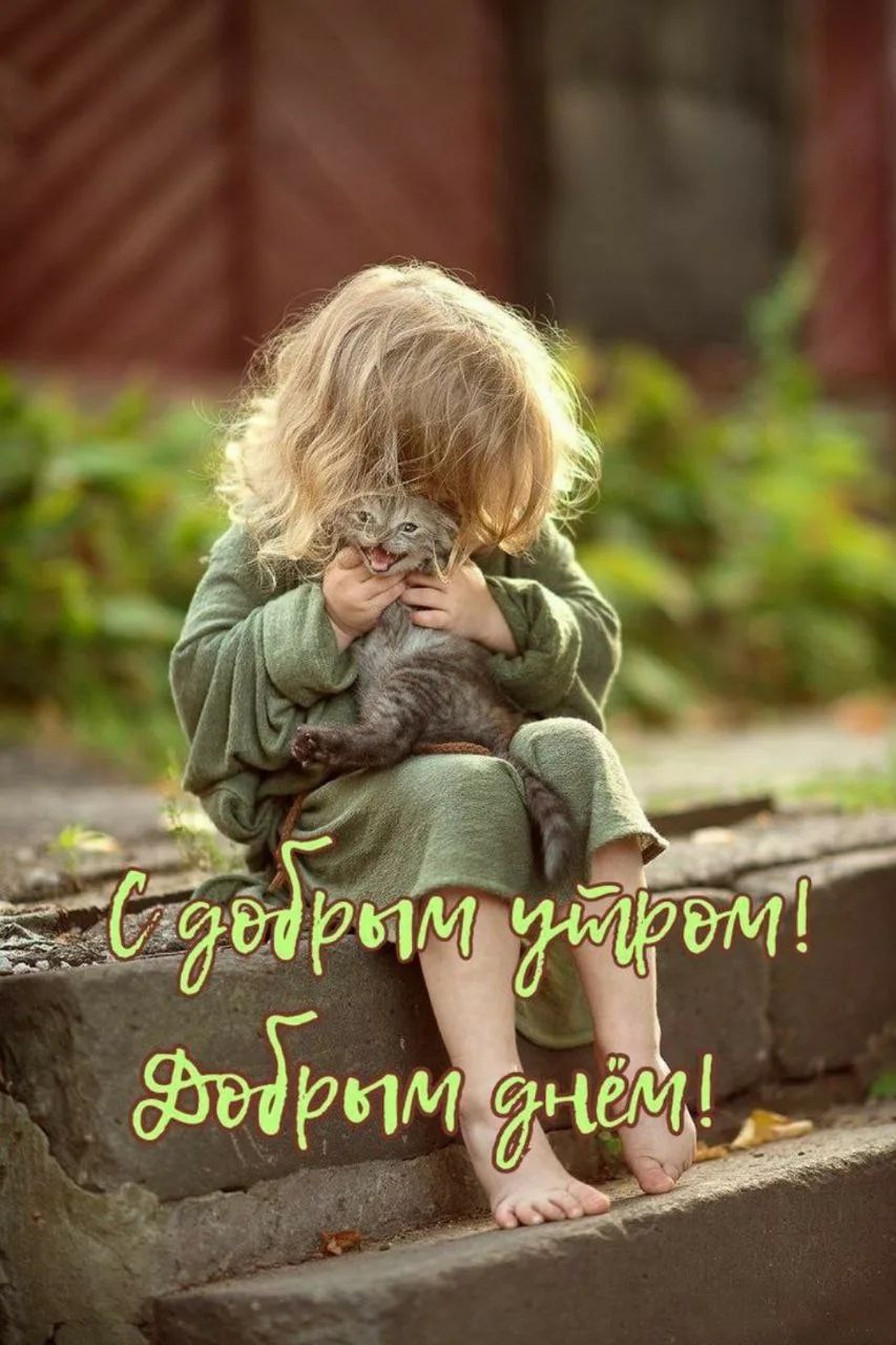 С добрым утром! Добрым днём!