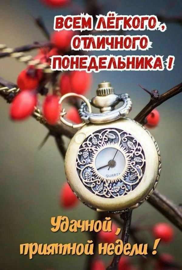 ВСЕМ ЛЁГКОГО, ОТЛИЧНОГО ПОНЕДЕЛЬНИКА! УДАЧНОЙ, ПРИЯТНОЙ НЕДЕЛЫ!