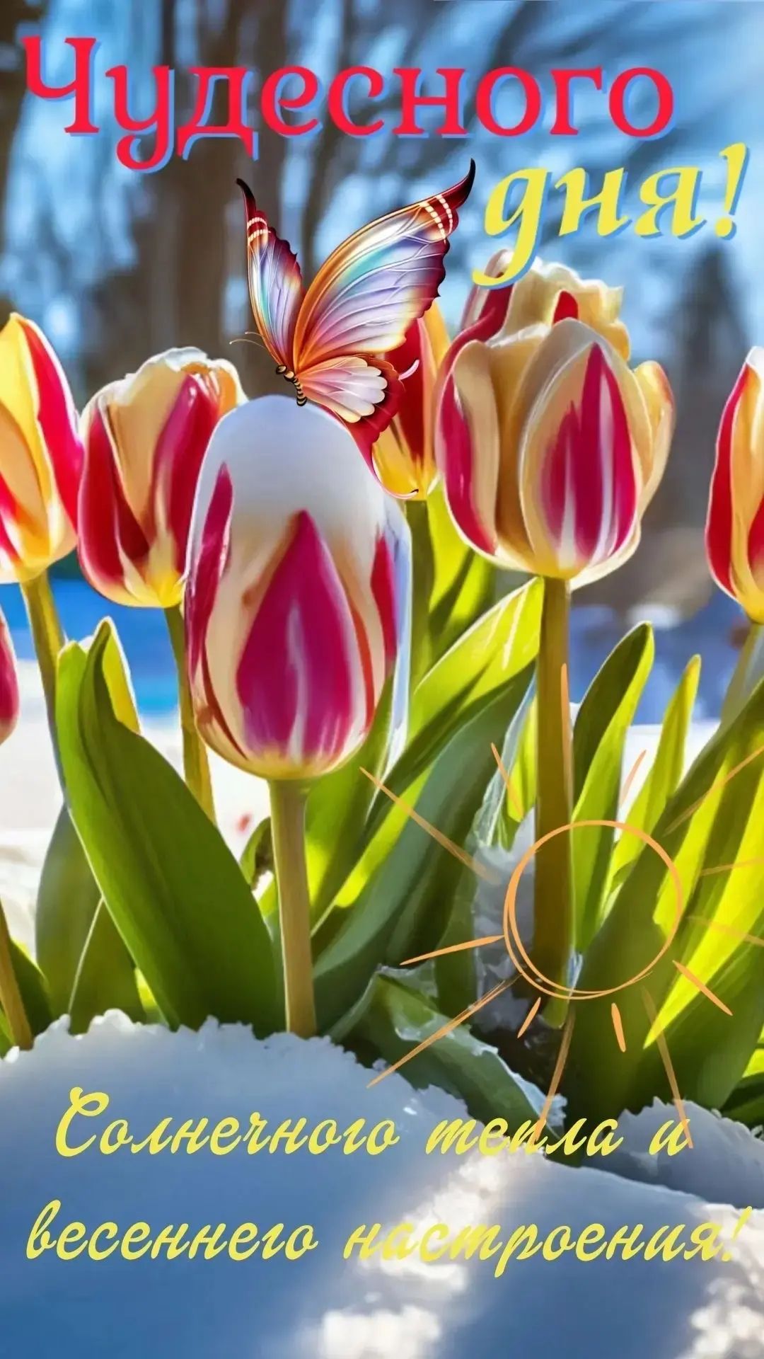 Чудеснего дня!
Солнечного тепла и весеннего настроения!