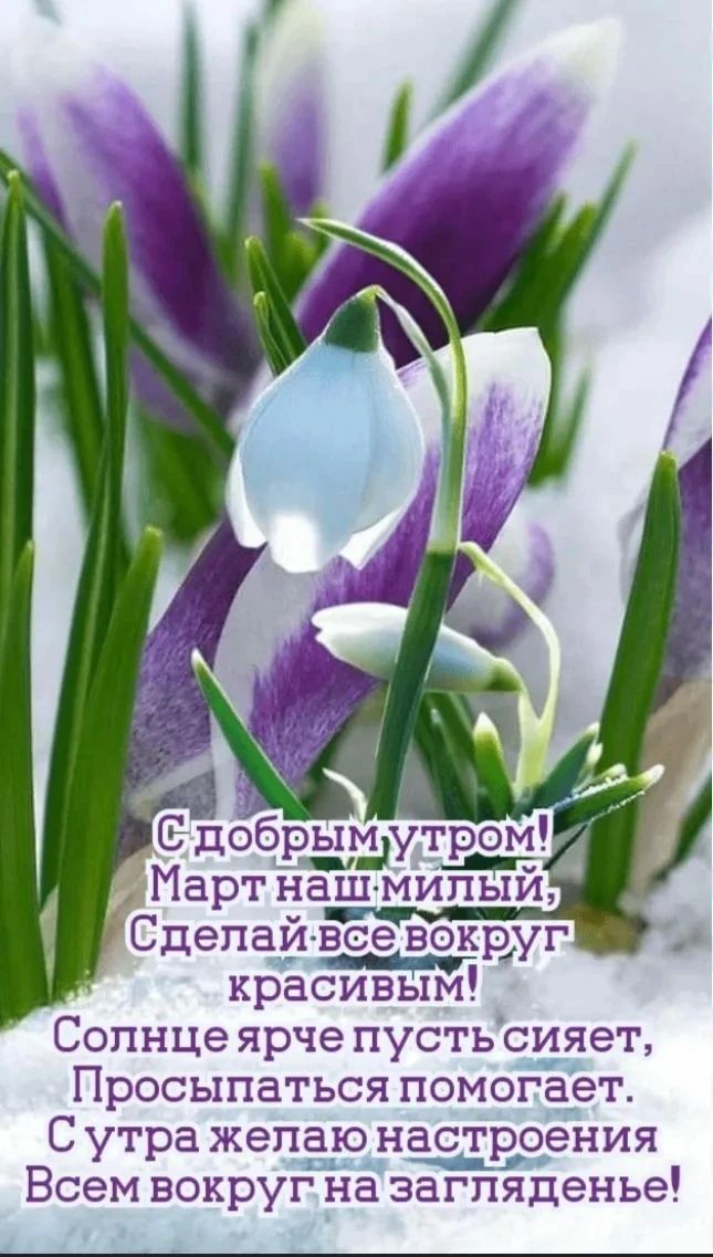 С добрым утром! Март наш милый, Сделай всё вокруг красивым! Солнце ярче пусть сияет, Просыпаться помогает. С утра желаю настроения Всем вокруг на загляденье!