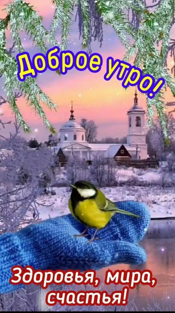 Доброе утро!\nЗдоровья, мира, счастья!
