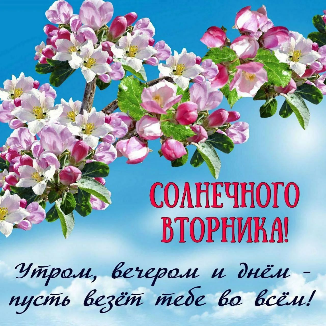 Солнечного вторника!
Утром, вечером и днём - пусть везёт тебе во всём!