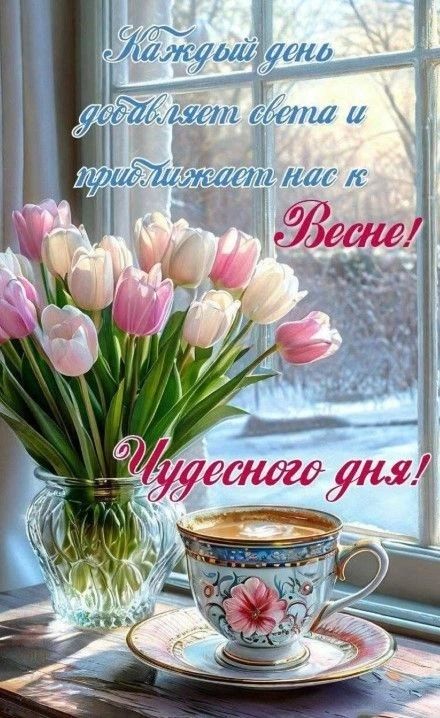 Каждый день добавляет света и приближает нас к Весне! Чудесного дня!