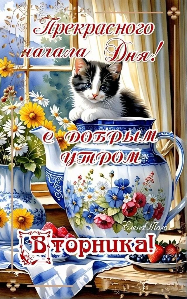 Прекрасного начала дня! С добрым утром Вторник!