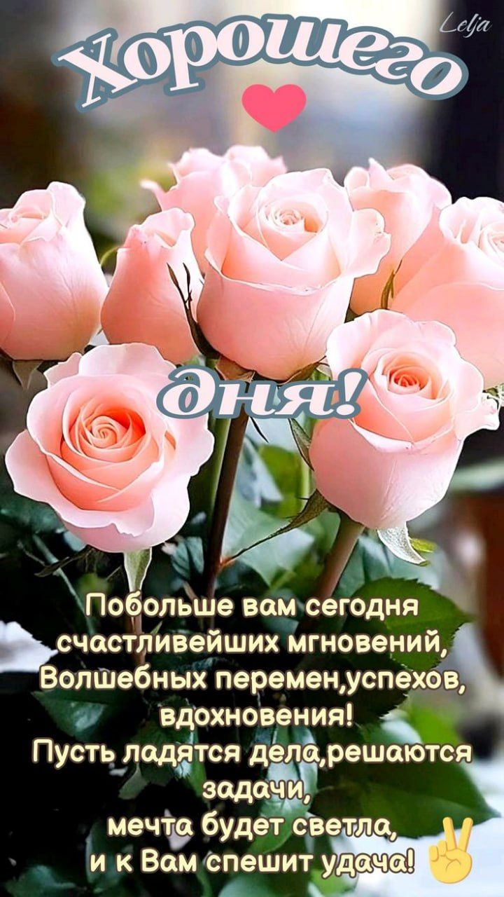 Хорошего дня! Побольше вам сегодня счастливейших мгновений, Волшебных перемен, успехов, вдохновения! Пусть дела поддаются, решаются задачи, мечта будет светла, и к Вам спешит удача!