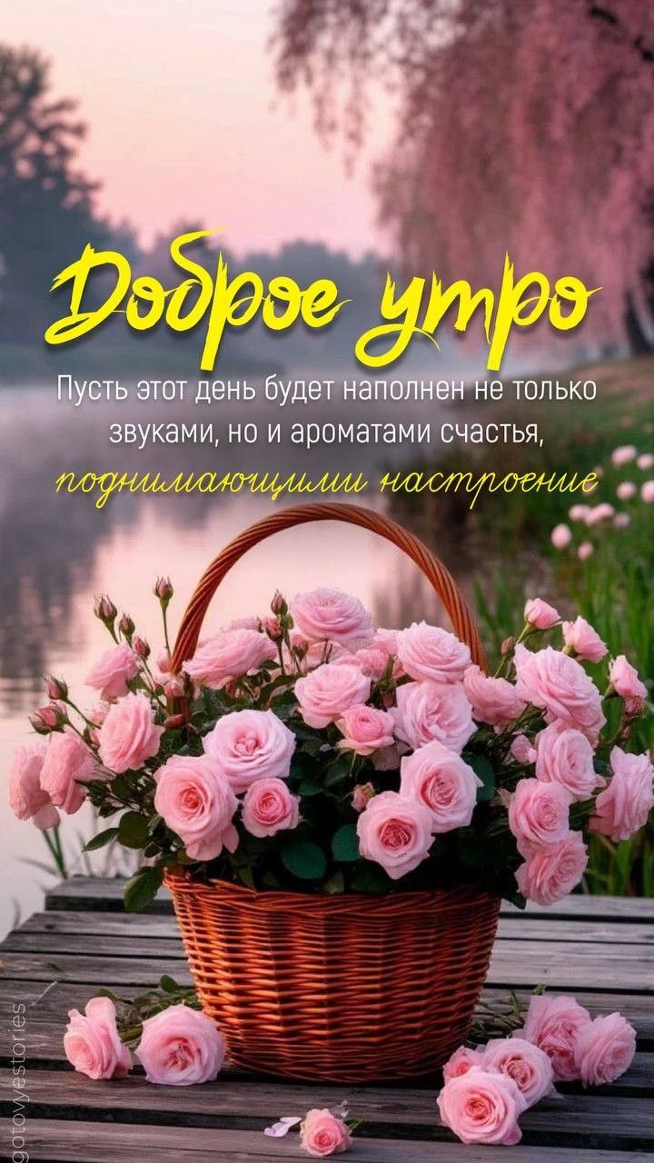 Доброе утро Пусть этот день будет наполнен не только звуками, но и ароматами счастья, поднимающими настроение