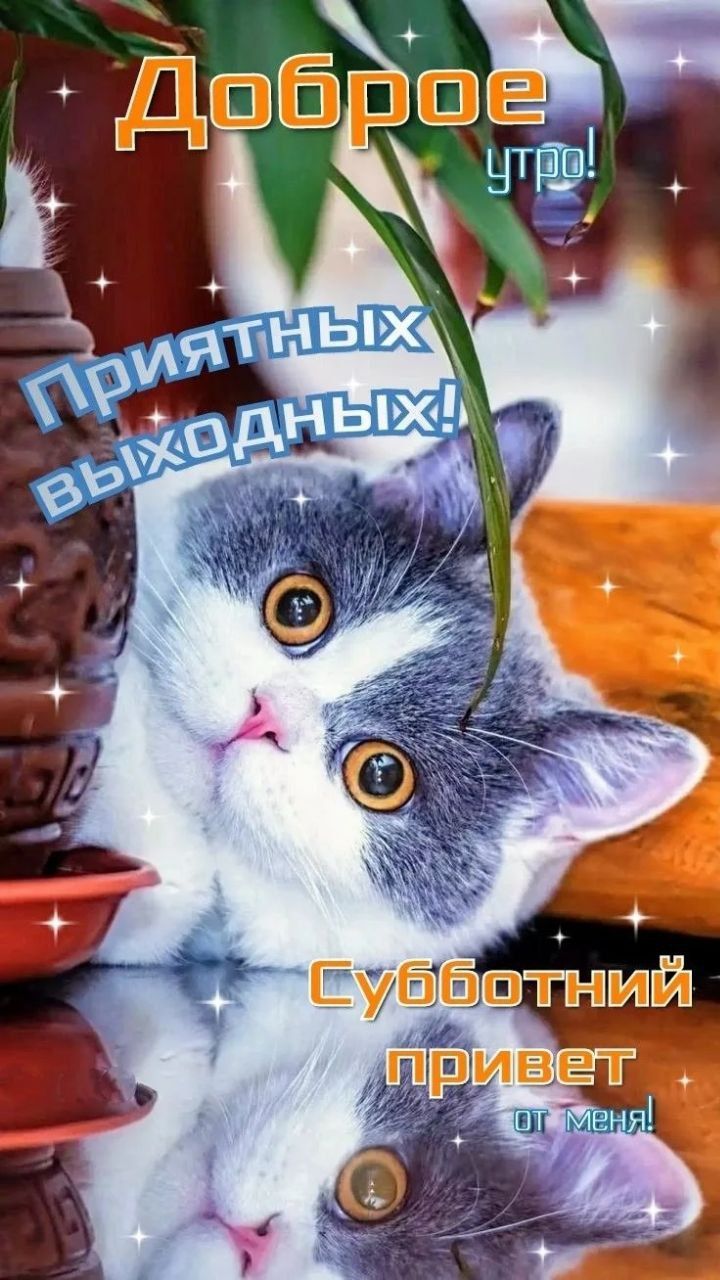 Доброе утро! Приятных выходных! Субботний привет от меня!