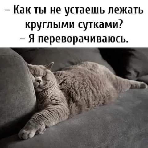 - Как ты не устaешь лежать круглыми сутоками?
- Я переворачиваюсь.