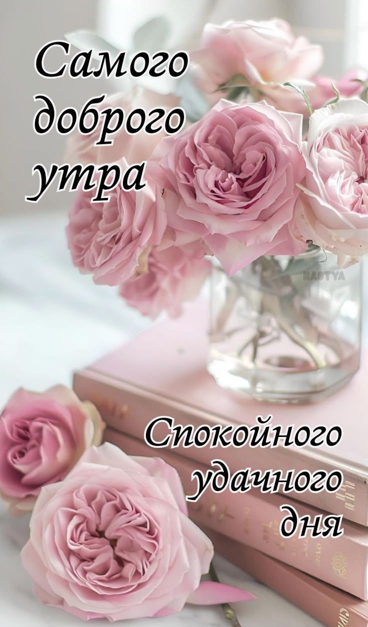 Самого доброго утра
Спокойного удачного дня