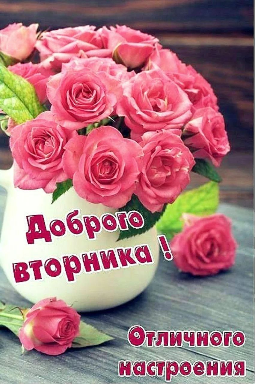 Доброе вторника ! Отличного настроения