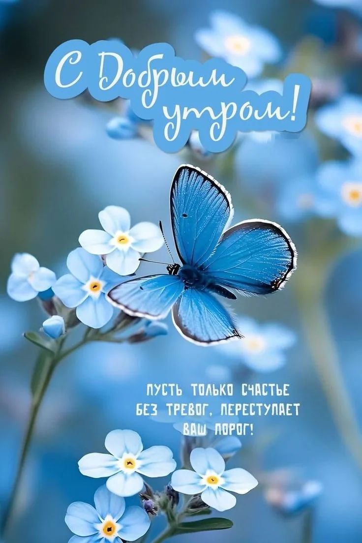 С Добрым утром! Пусть только счастье без тревог преследует ваш путь!
