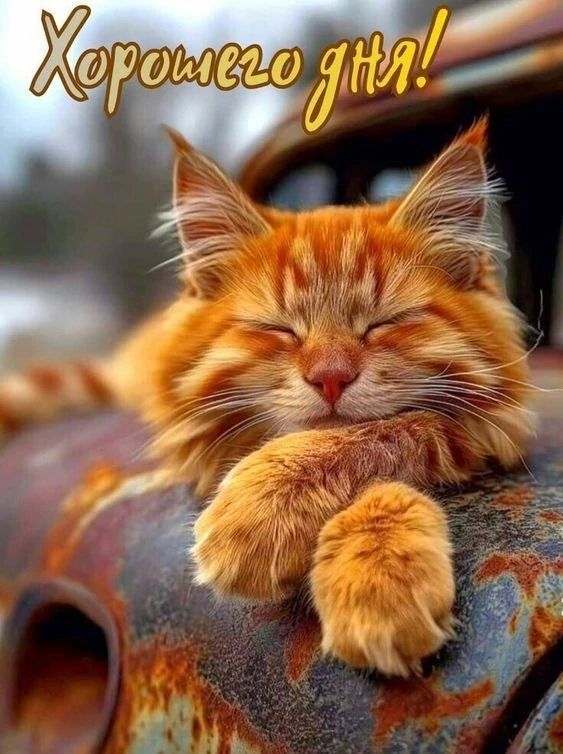 Хорошего дня!